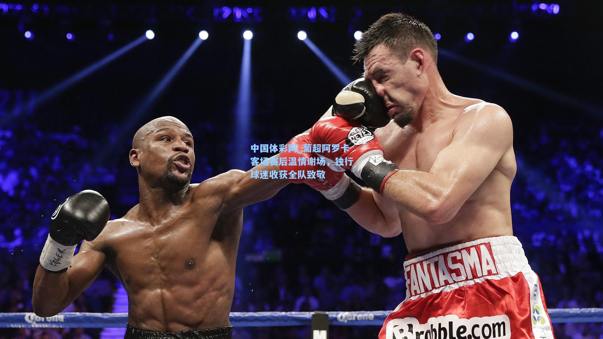 葡超阿罗卡客场赛后温情谢场，独行球迷收获全队致敬