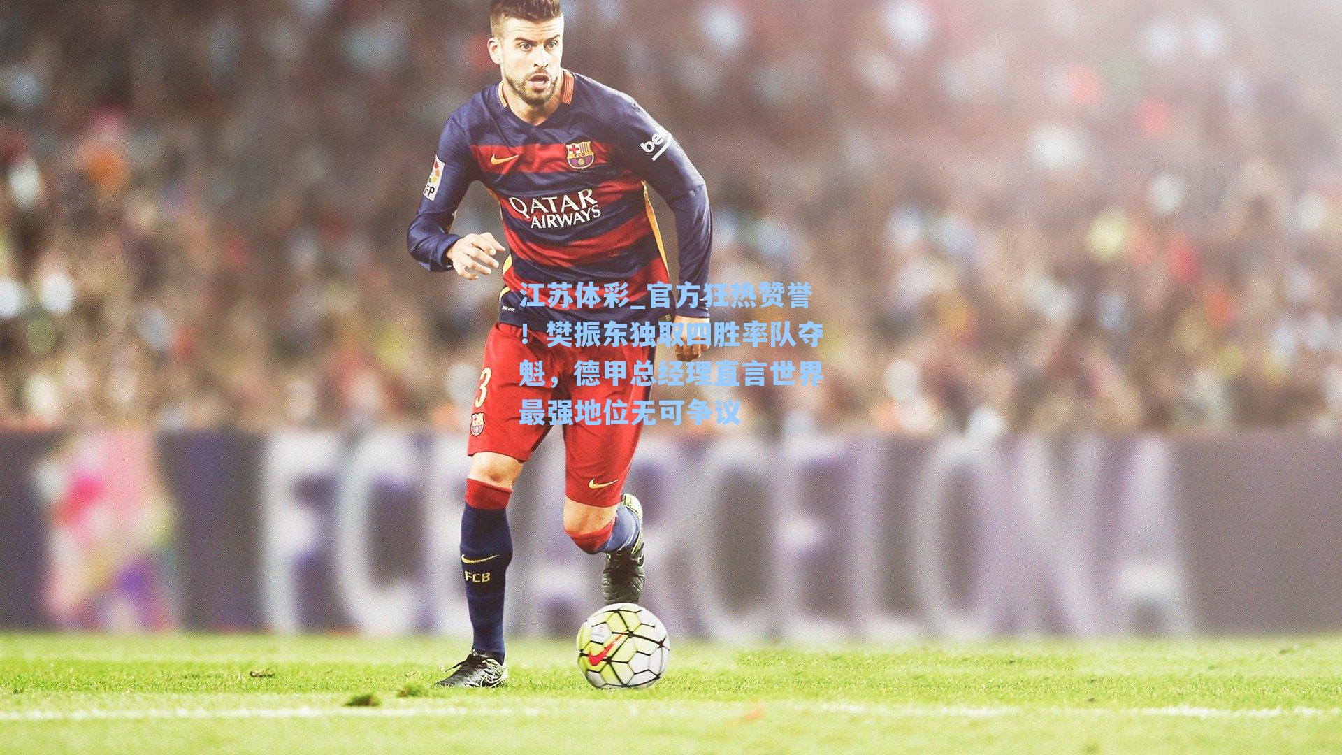 官方狂热赞誉！樊振东独取四胜率队夺魁，德甲总经理直言世界最强地位无可争议